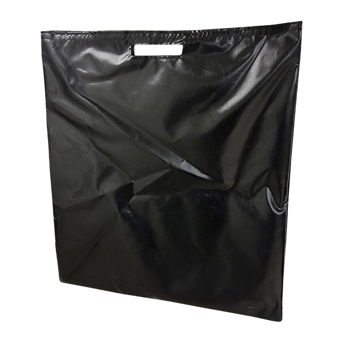 Carry Bag for Bowling Ramp and Poss-i-Bowl