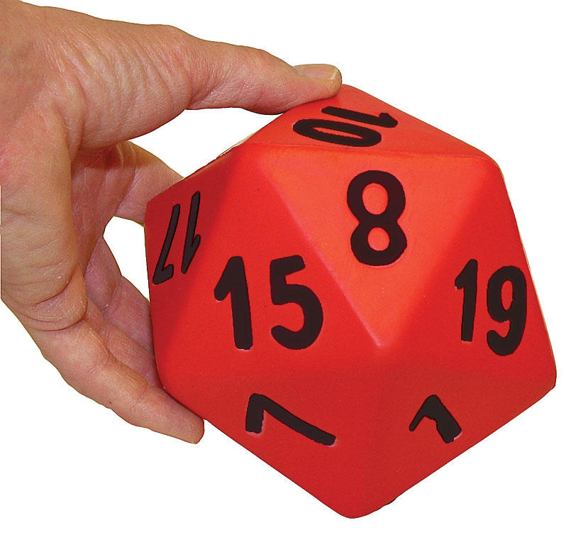 20 Sided Foam Die
