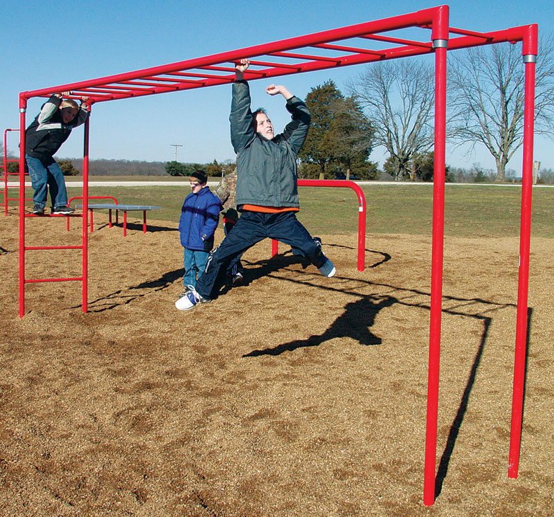 Junior Horizontal Ladder (powder coated)