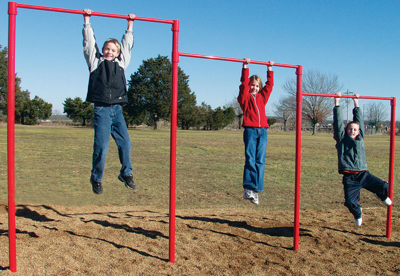 Triple Horizontal Bar (powder coated)