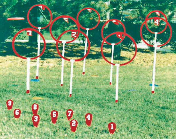 9 Hole Outdoor Hoop Disc Target Game