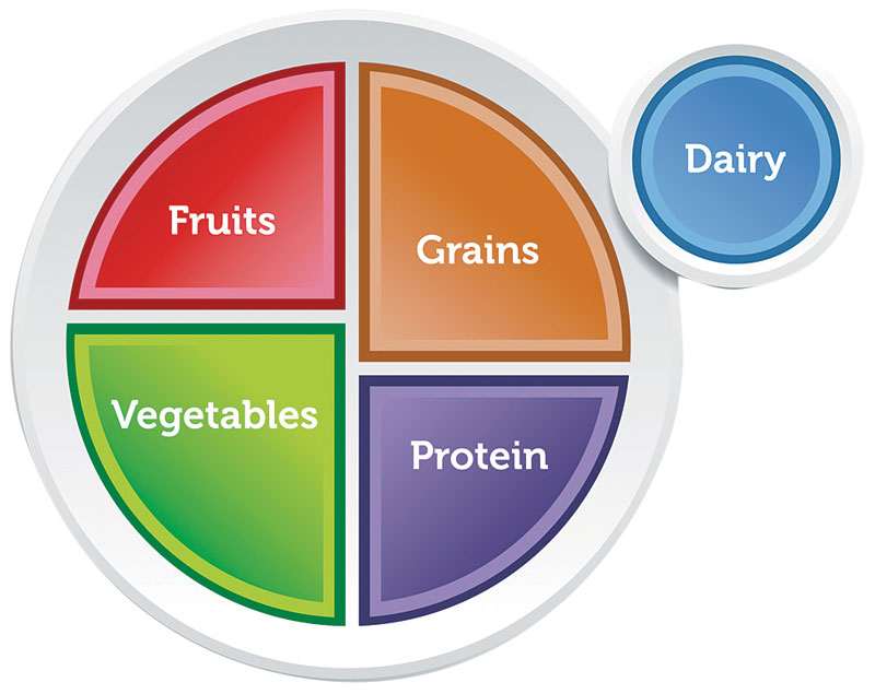 MyPlate Plastic Plate