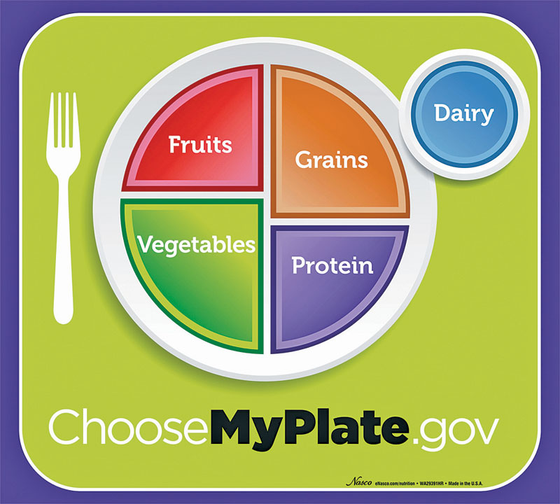 MyPlate laminated Poster