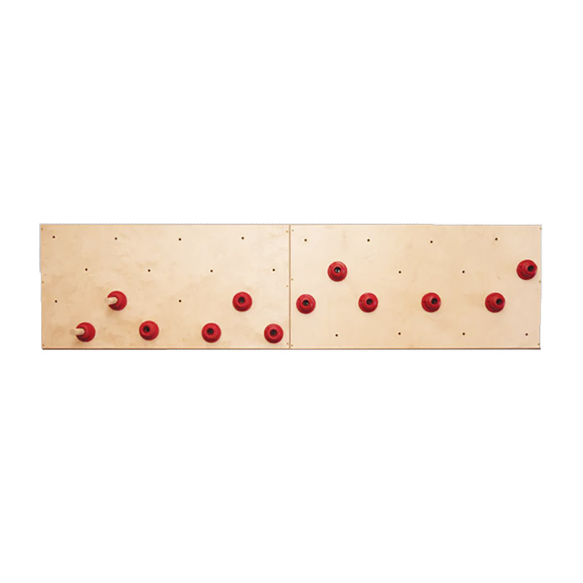 Everlast Climbing Peg Board