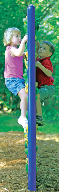 12' Playground Climbing Wall system