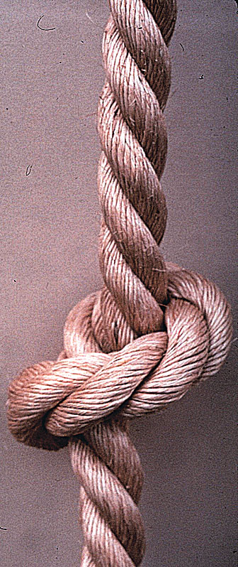 Synthetic Climbing Rope w/ Beginners Knots