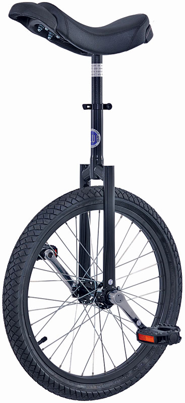 20" wheel with black frame